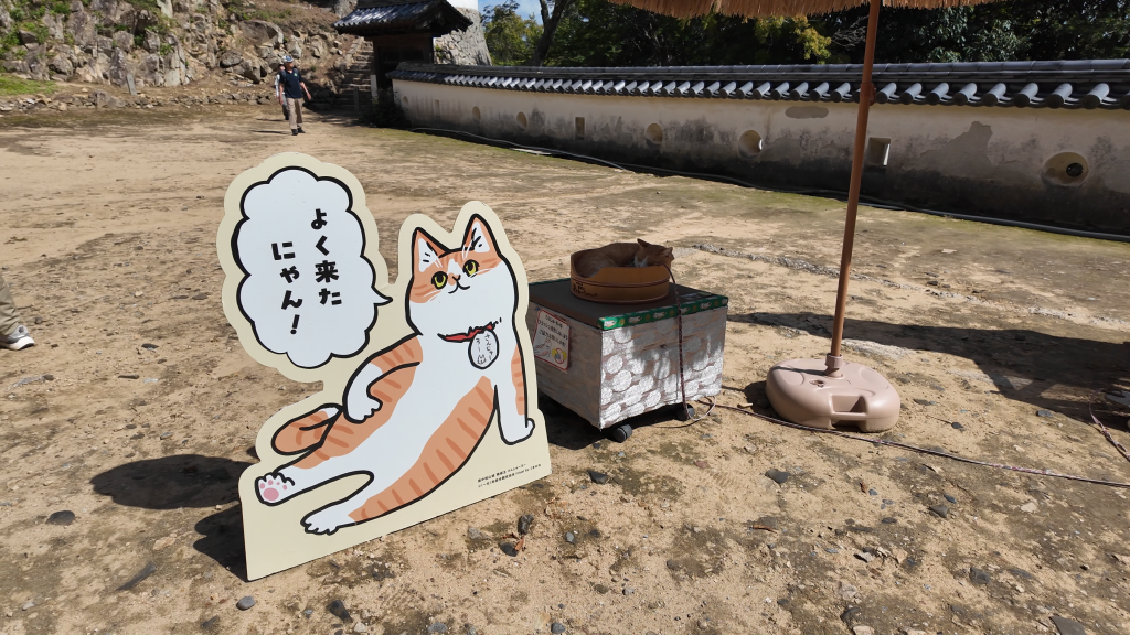 備中松山城三十郎貓城主